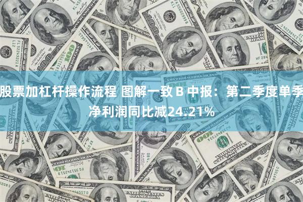 股票加杠杆操作流程 图解一致Ｂ中报：第二季度单季净利润同比减24.21%