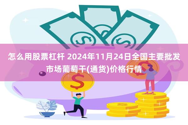 怎么用股票杠杆 2024年11月24日全国主要批发市场葡萄干(通货)价格行情