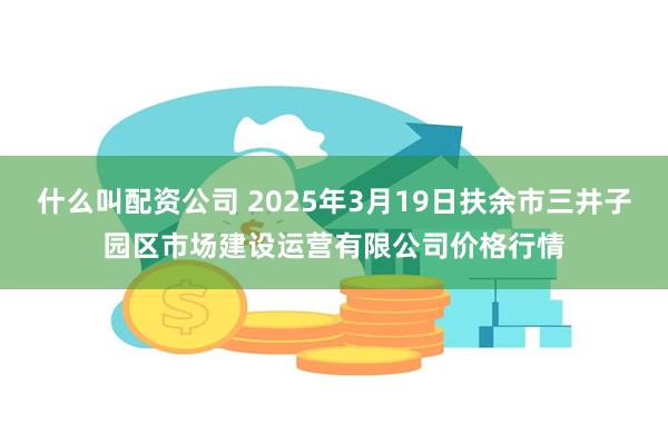 什么叫配资公司 2025年3月19日扶余市三井子园区市场建设运营有限公司价格行情