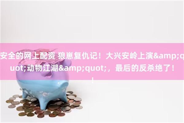 安全的网上配资 狼崽复仇记！大兴安岭上演&quot;动物江湖&quot;，最后的反杀绝了！