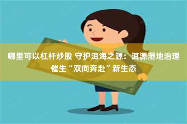 哪里可以杠杆炒股 守护洱海之源：洱源湿地治理催生“双向奔赴”新生态