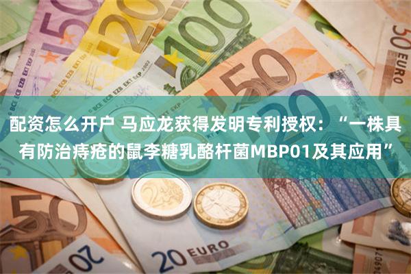 配资怎么开户 马应龙获得发明专利授权：“一株具有防治痔疮的鼠李糖乳酪杆菌MBP01及其应用”
