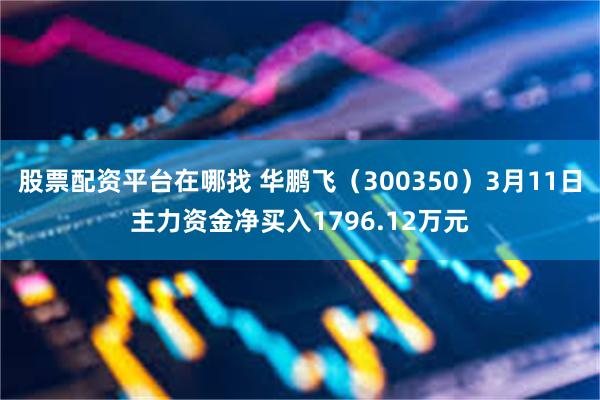 股票配资平台在哪找 华鹏飞（300350）3月11日主力资金净买入1796.12万元