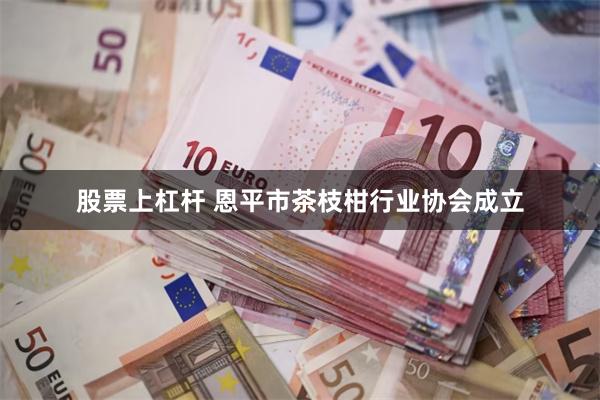 股票上杠杆 恩平市茶枝柑行业协会成立
