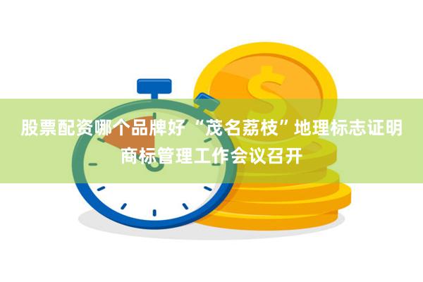 股票配资哪个品牌好 “茂名荔枝”地理标志证明商标管理工作会议召开