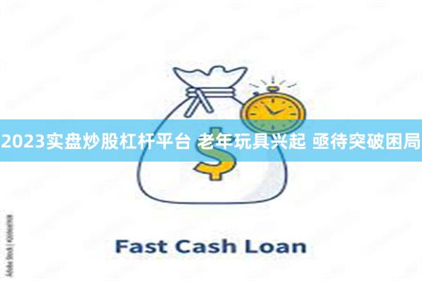 2023实盘炒股杠杆平台 老年玩具兴起 亟待突破困局
