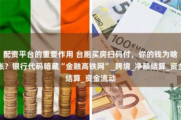 配资平台的重要作用 台胞买房扫码付，你的钱为啥秒到账？银行代码暗藏“金融高铁网”_跨境_净额结算_资金流动