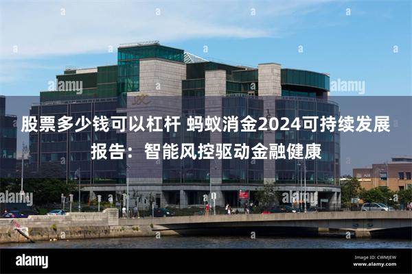 股票多少钱可以杠杆 蚂蚁消金2024可持续发展报告：智能风控驱动金融健康
