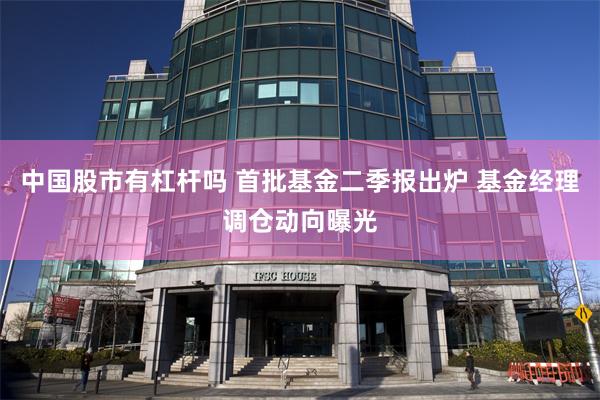 中国股市有杠杆吗 首批基金二季报出炉 基金经理调仓动向曝光