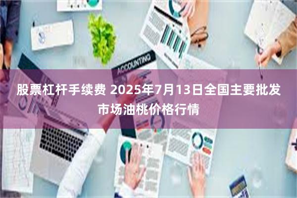 股票杠杆手续费 2025年7月13日全国主要批发市场油桃价格行情