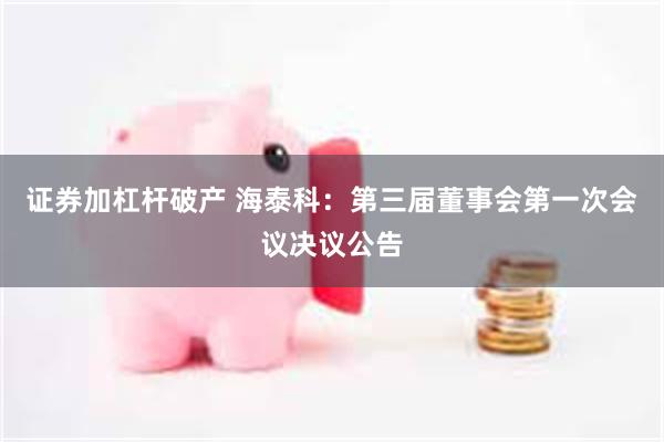 证券加杠杆破产 海泰科：第三届董事会第一次会议决议公告