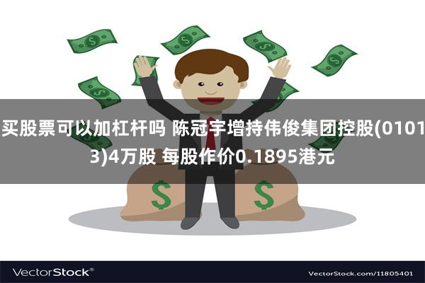 买股票可以加杠杆吗 陈冠宇增持伟俊集团控股(01013)4万股 每股作价0.1895港元